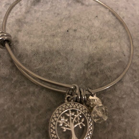 Alex and Ani Jewelry - Family expandable Alex and Ani Bracelet